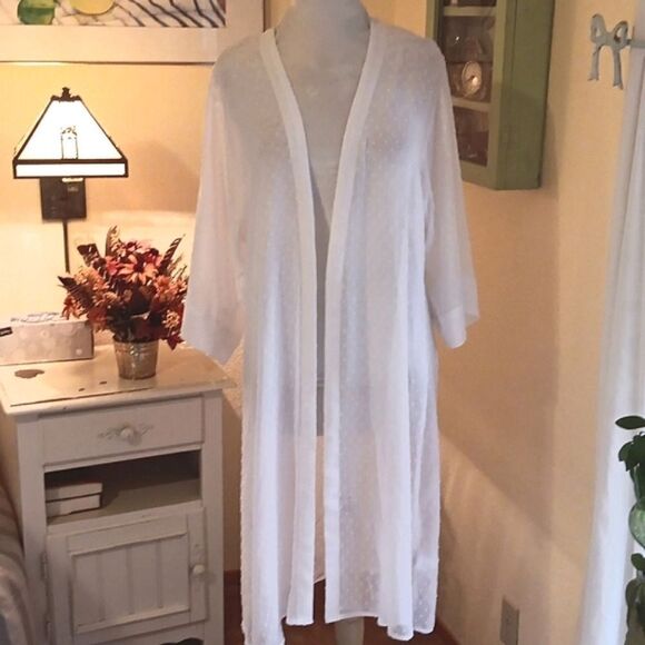 Express Dotted Swiss Duster - Picture 1 of 10